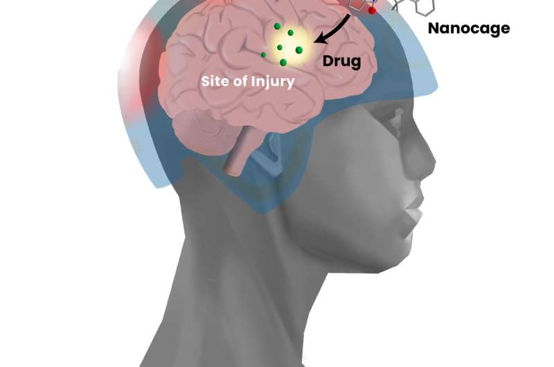 Development of precision drug delivery tool to treat traumatic brain injury