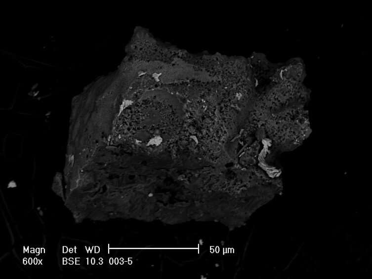 New technique enables mineral ID of precious Antarctic micrometeorites