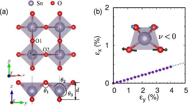 Researchers make theoretical prediction of 2-D semiconductor tin dioxide