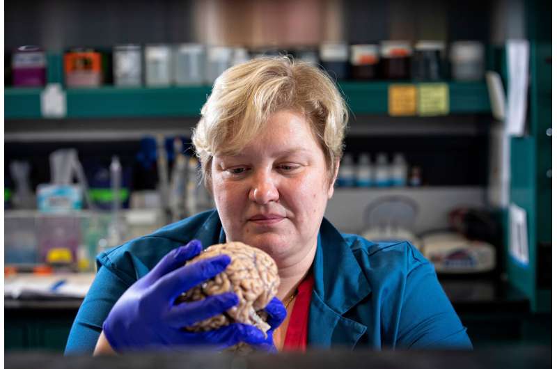 University of Ky study leads to potential for new treatment approach to Alzheimer's