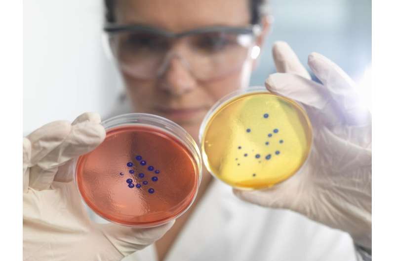 New research reveals Australia's multi-billion dollar superbug crisis
