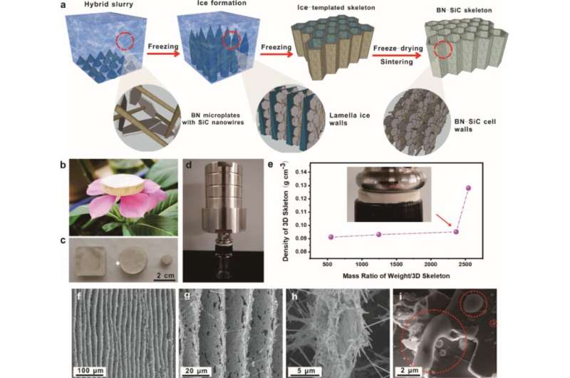 Scientists develop ice-templated filler skeleton with enhanced thermal conductivity