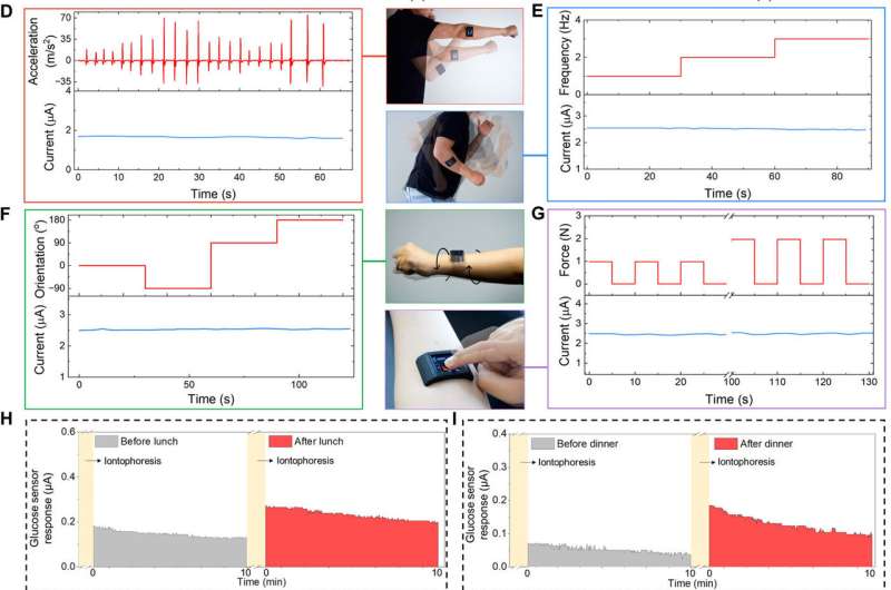 A wearable freestanding electrochemical sensing system