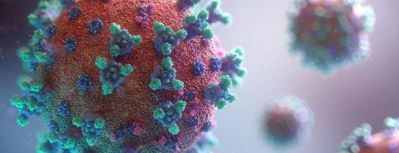 Bioengineer seeks to calm influenza’s cytokine storms