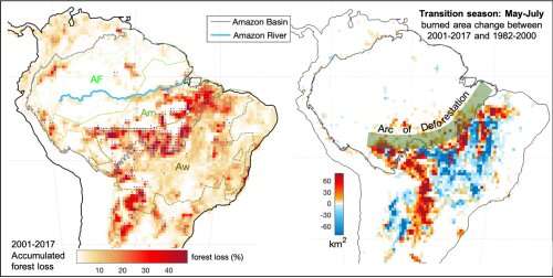 Climate shift, forest loss and fires -- Scientists explain how Amazon forest is trapped in a vicious circle