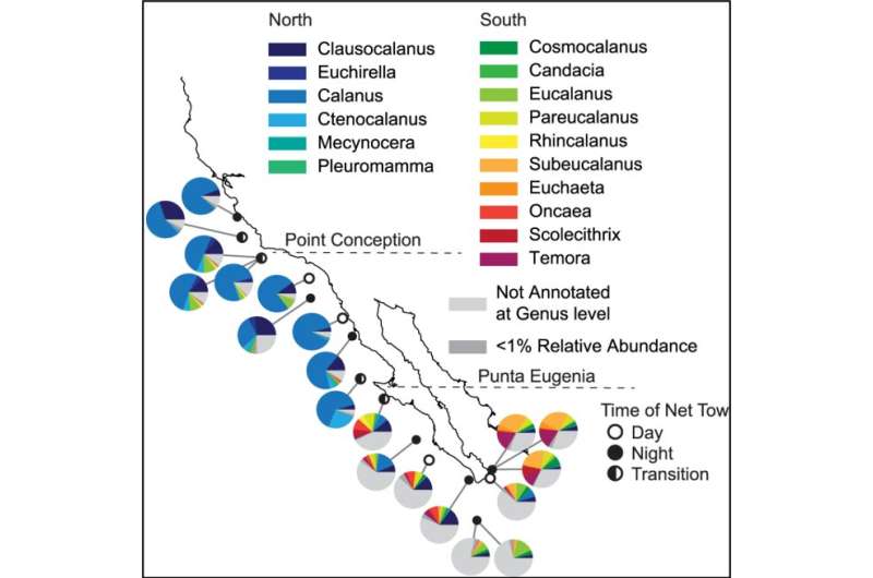 DNA analysis confirms a zooplankton community border along Baja California