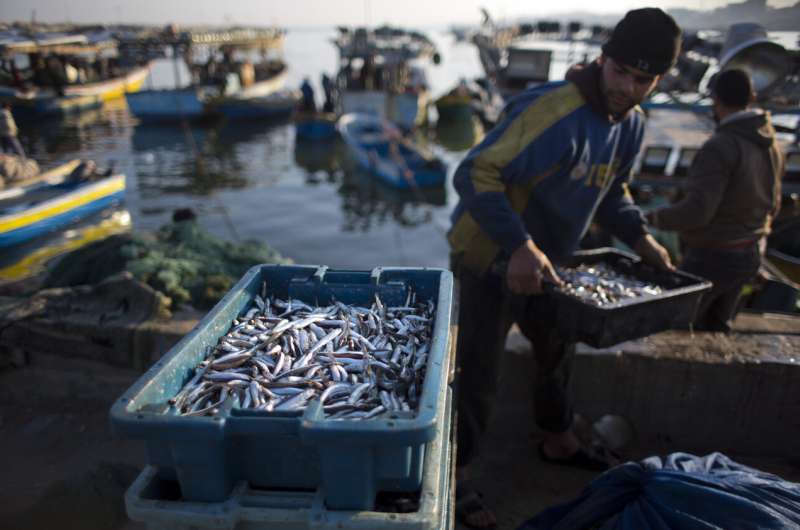 Experts say Med Sea altered by Suez Canal's invasive species