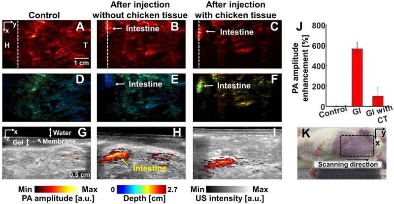Exploring the deep tissues using photoacoustic imaging