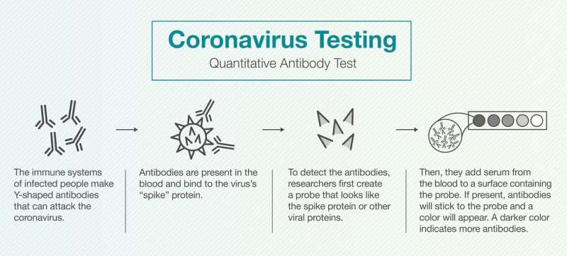 Fighting the COVID-19 pandemic through testing