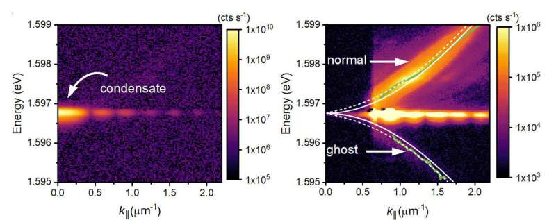 Ghostly particles detected in condensates of light and matter
