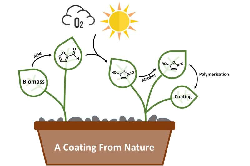 Green chemistry creates coatings from nature