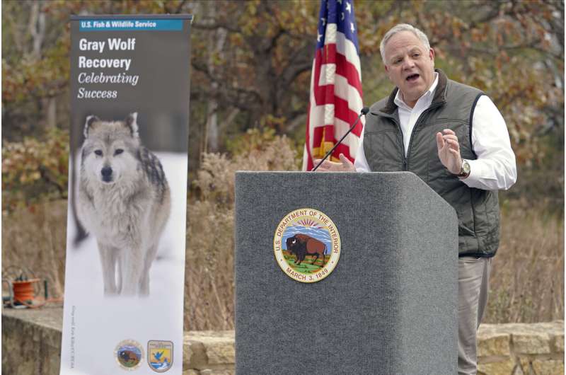 Groups fight to keep gray wolf protections for most of US