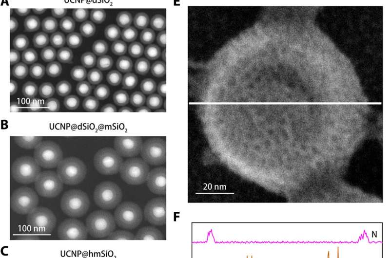 Highly sensitive nanosensor detects subtle potassium changes in the brain
