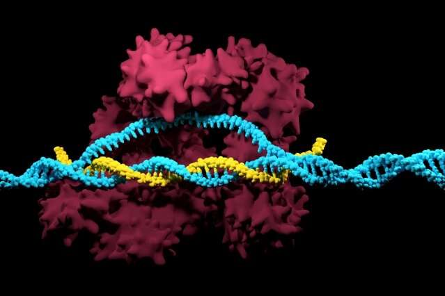 Nature-inspired CRISPR enzymes for expansive genome editing