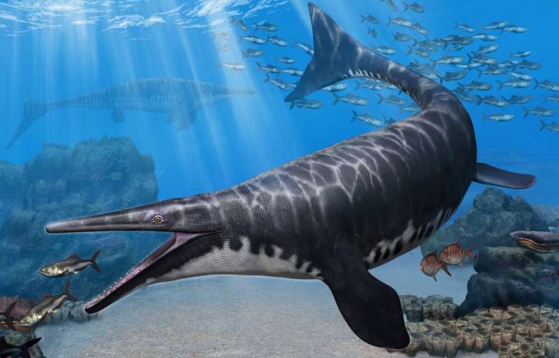 Paleontologists identify new species of mosasaur