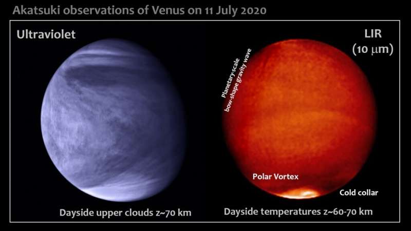 Parker Solar Probe, Akatsuki and Earth-bound observers give rare top-to surface glimpse of Venus