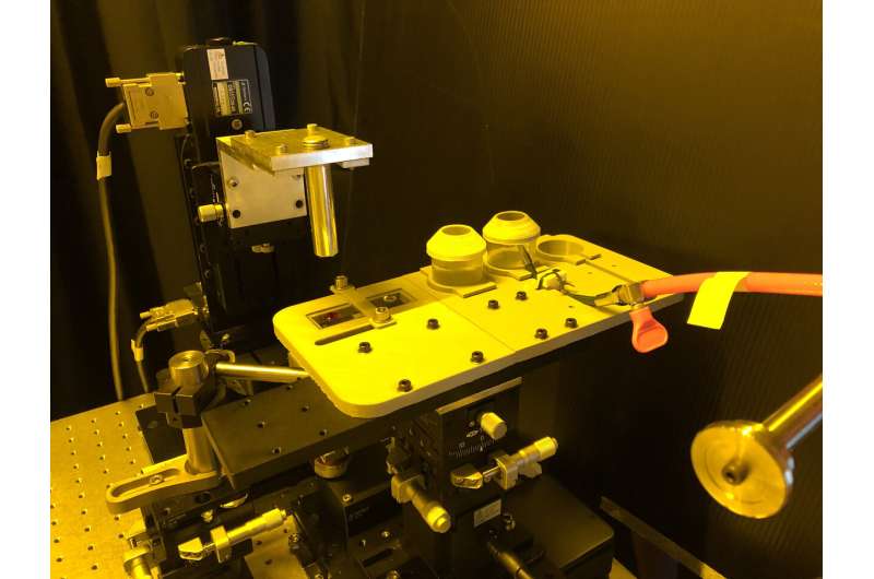 Researchers 3D print tiny multicolor microstructures