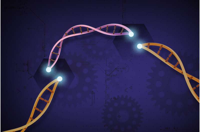 Scientists can now edit multiple genome fragments at a time