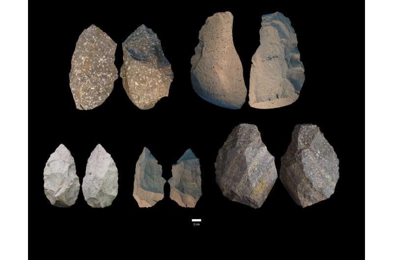 Smallest Homo erectus cranium in Africa and diverse stone tools found at Gona, Ethiopia