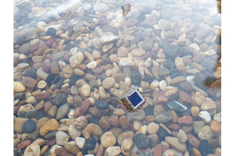 Solar-powered water quality sensor could help fish farmers to monitor pollution in ponds remotely