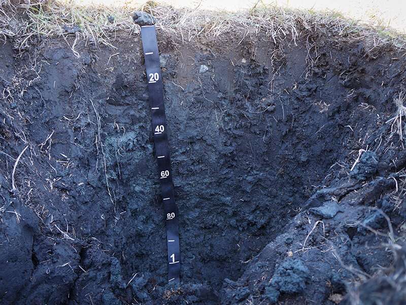 The story behind a uniquely dark wetland soil