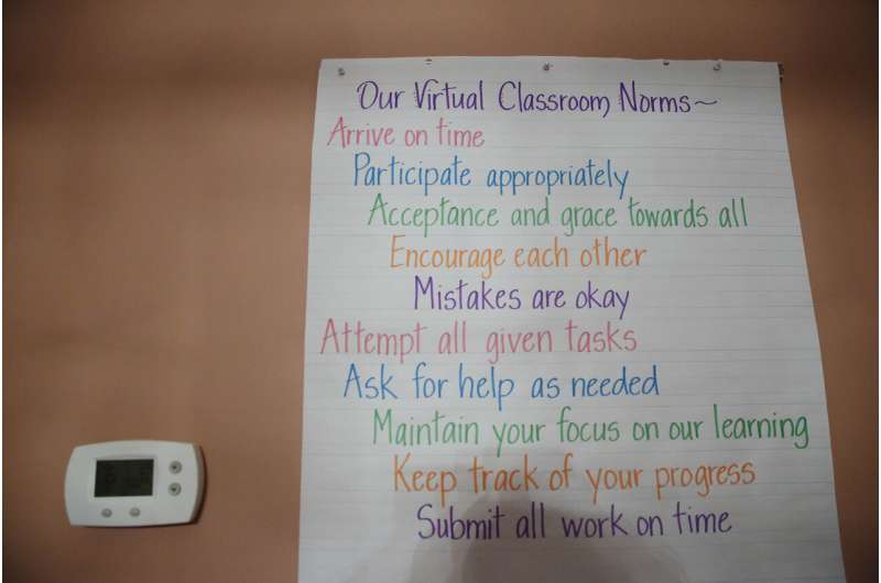 Virtual school: Teachers want to improve but training varies