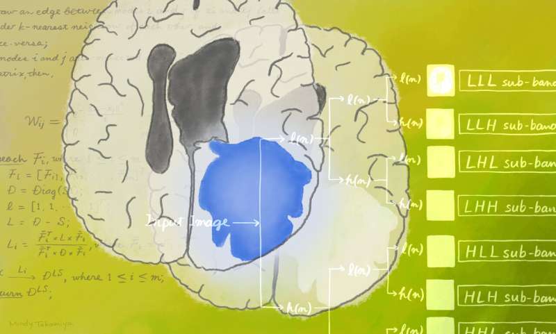 Artificial intelligence enhances brain tumour diagnosis
