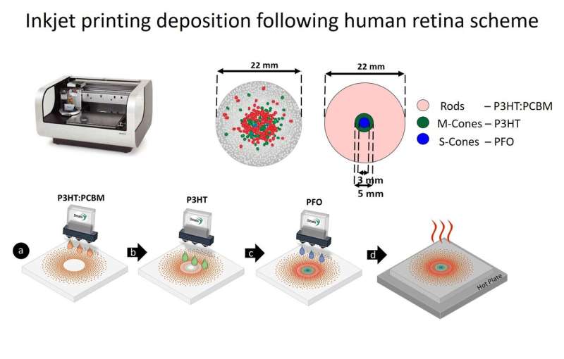 Development of a colour-sensitive inkjet-printed pixelated artificial retina model studied via an optoelectronic device