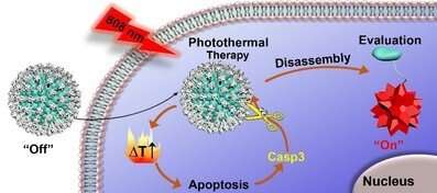 Researchers propose strategy to evaluate tumor photothermal therapy in