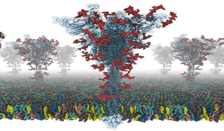 Scientists Produce First Open Source All-Atom Models of COVID-19 'Spike' Protein