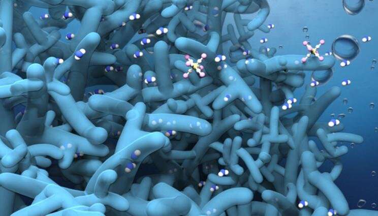 3-D nanometer-thin membrane borrows from biology