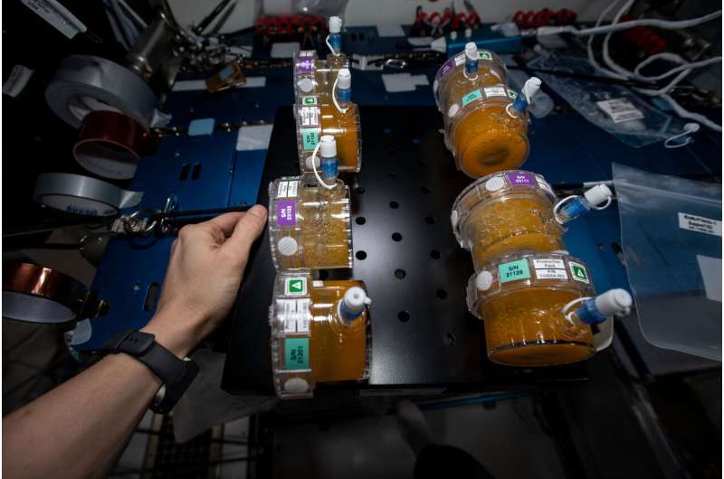 3D printing, biology research make the journey back to Earth aboard SpaceX's Dragon