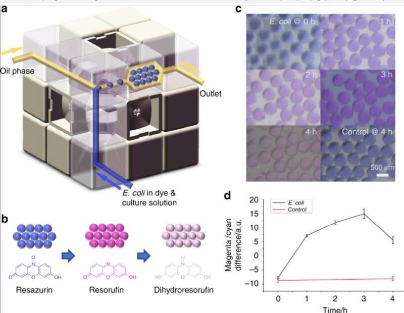A Rubik’s microfluidic cube