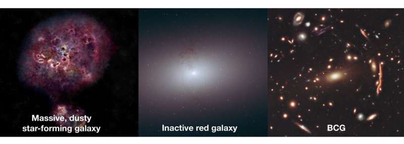 Astronomers discover unusual monster galaxy in the very early universe