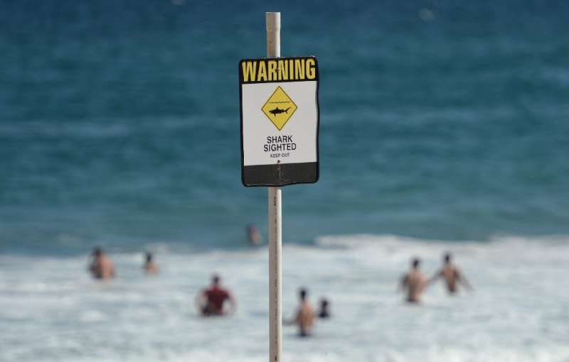 Australia has one of the world's highest incidences of shark attacks and there have been five fatal maulings in the country so f