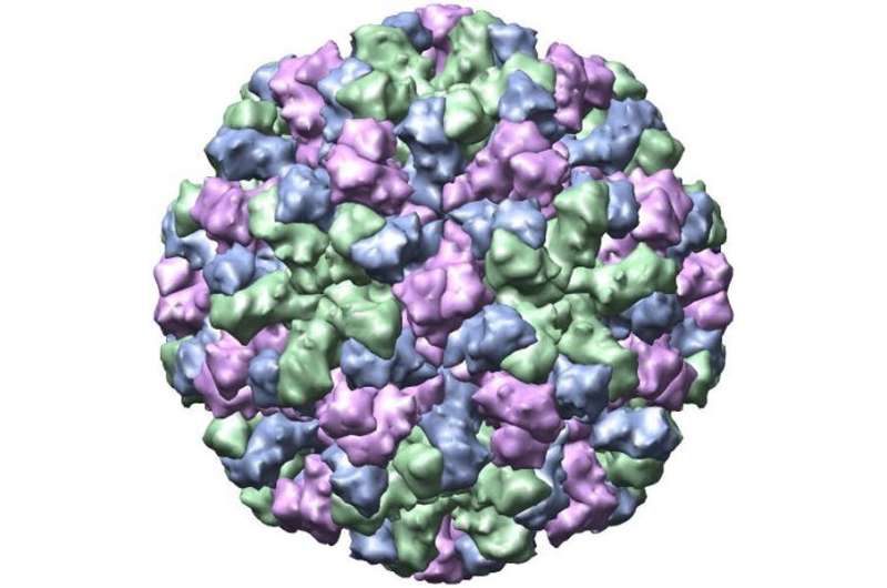 Five techniques we’re using to uncover the secrets of viruses