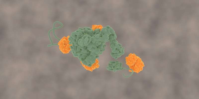 Molecular machine tears toxic protein clumps apart