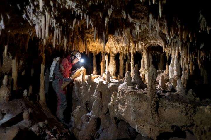 Neanderthals of Western Mediterranean did not become extinct because of changes in climate