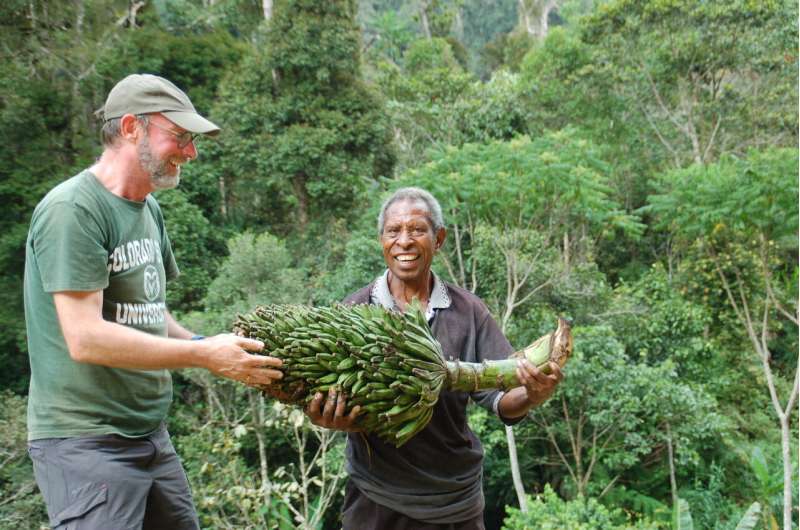 On the hunt for wild bananas in Papua New Guinea
