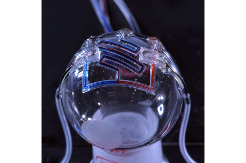 Researchers 3D print unique micro-scale fluid channels used for medical testing