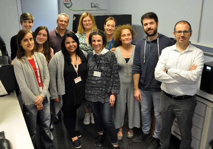 Researchers obtain the first complete genomes of the SARS-CoV2 virus in Spain