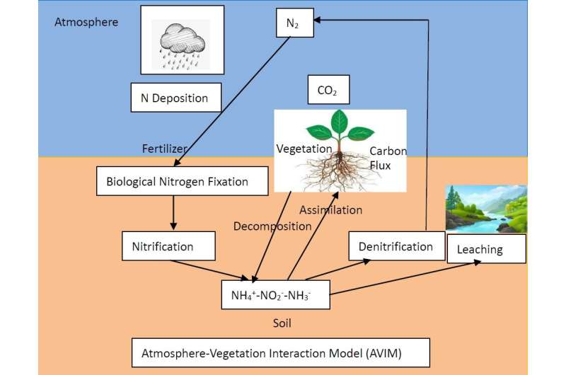 Scientists improve a land surface model to better simulate the carbon-nitrogen flux