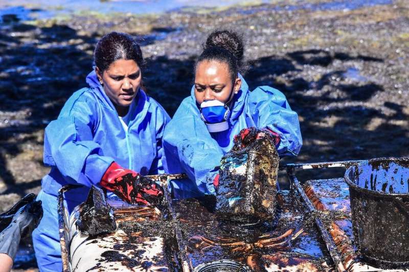 Volunteers fight to clean up leaked oil from the MV Wakashio bulk carrier that had run aground at the beach in Mauritius