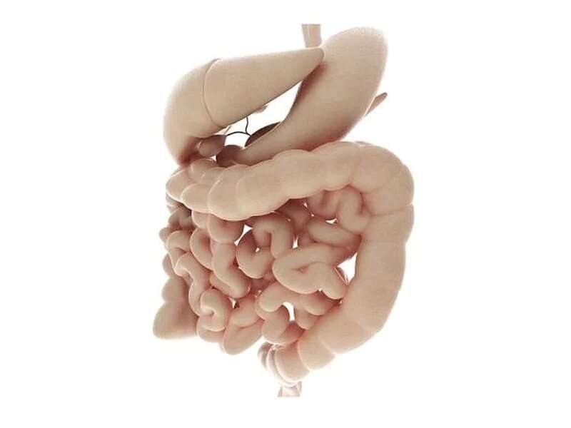 What you need to know about your colon cancer risk