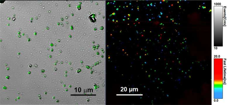 Scientists develop stable luminescent composite material based on perovskite nanocrystals