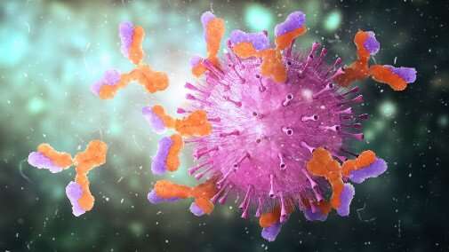 Scientists discover how immune cells mobilize to fight infection