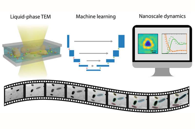 Machine learning peeks into nano-aquariums