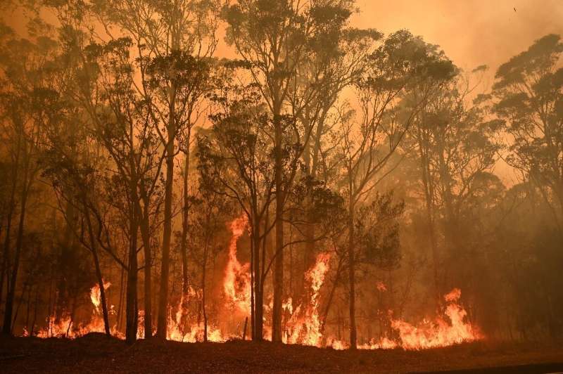 Australia's bushfires have swept through an area larger than Portugal