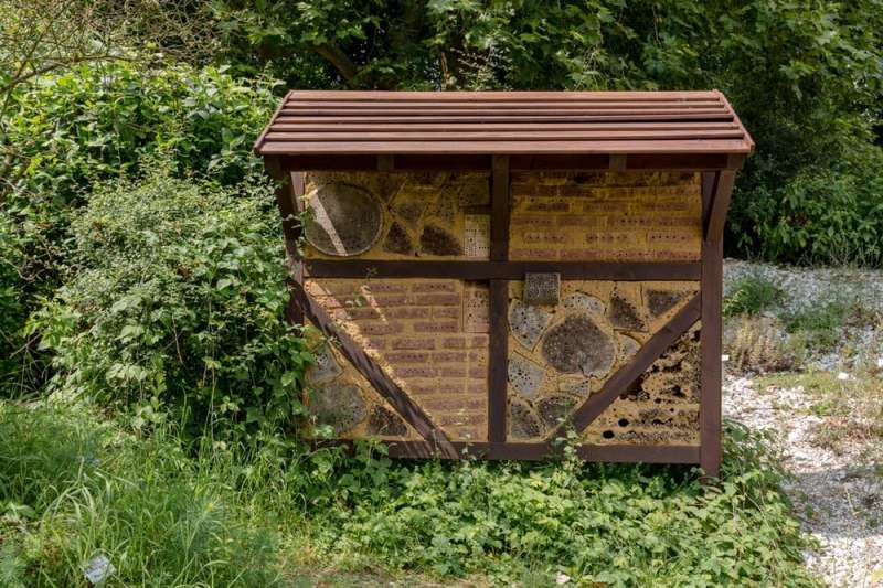 B&Bs for birds and bees: transform your garden or balcony into a wildlife haven