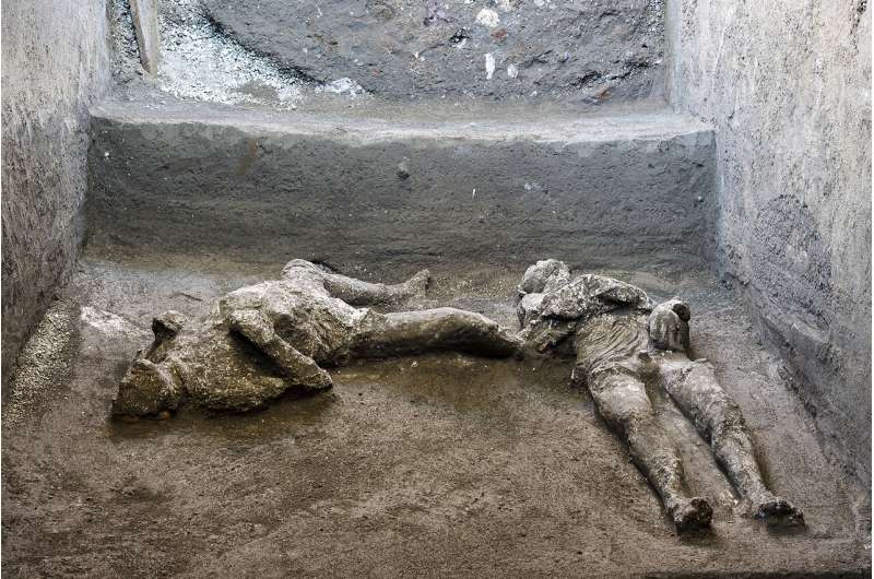 Bodies of man and his slave unearthed from ashes at Pompeii